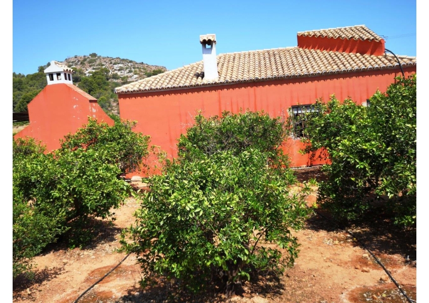 Samowystarczalny dom z basenem i plantacją pomarańczy 6 km od plaży w Cullera